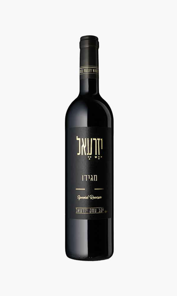 עמק יזרעאל מגידו