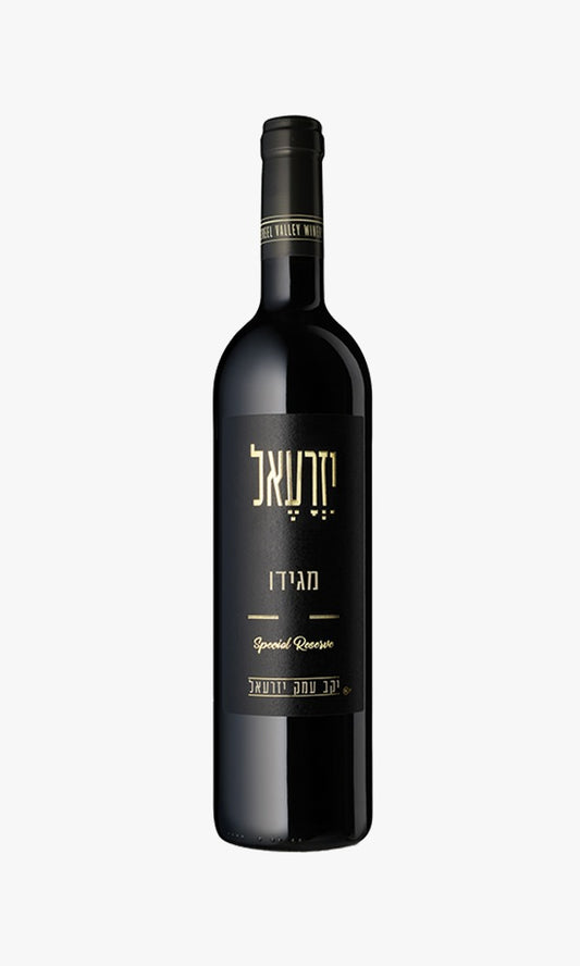 עמק יזרעאל מגידו
